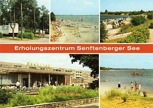 Senftenberg